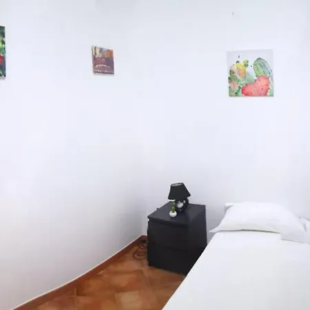 Ficus House *